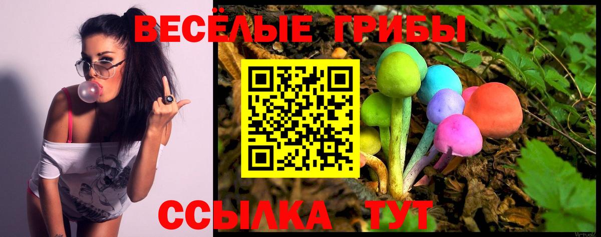 Галлюциногенные грибы Psilocybe Кумертау