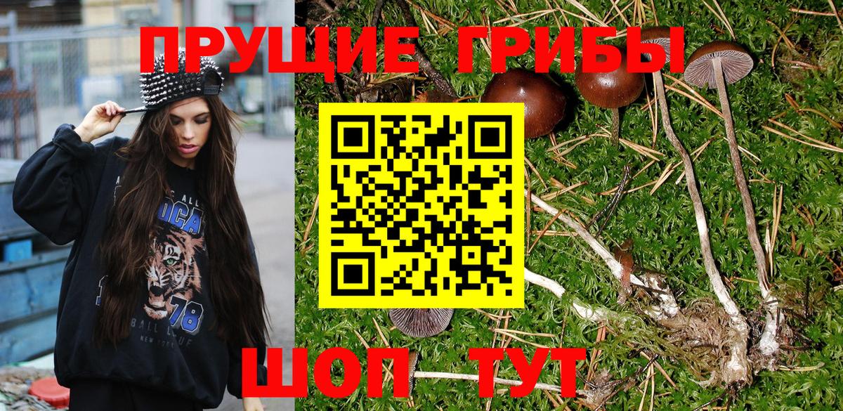 Галлюциногенные грибы Psilocybe  дарнет шоп  Кумертау  Вход с VPN 